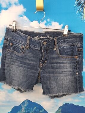 American Eagle Outfitters Distressed Dark Blue Denim Cutoff Shorts